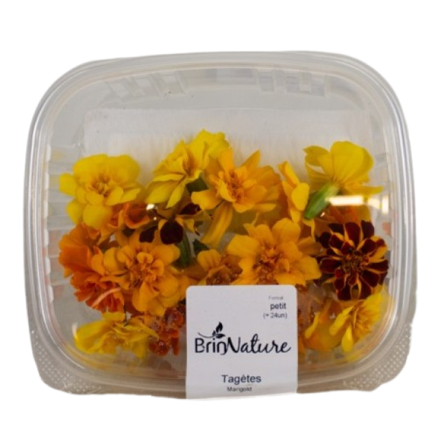 Fleur comestible tagetes mixte