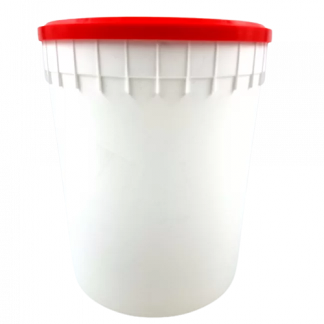 Vanilla frozen yogurt Chapman's Aubut (8902)