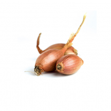  French shallot
