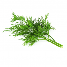  Fresh Dill