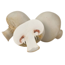  Champignon no1