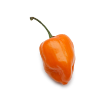  Piment habanero mixte [env. 0.5kg]