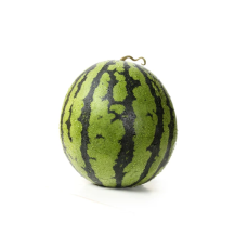  Mini melon d'eau