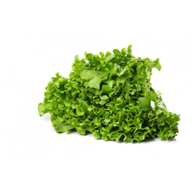  Curly green lettuce