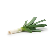  Leek