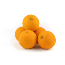  Big navel orange
