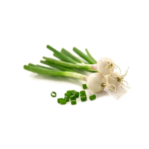  [k] Oignon vert [échalotte]