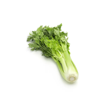  Celery gr24-30