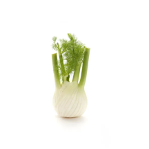  Fennel