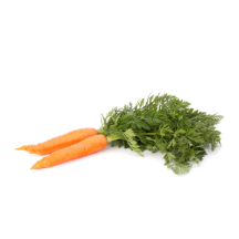  Carrot