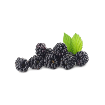  Blackberries