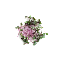  Plateau de fruit 13po avec chocolat