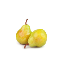  Bartlett pear gr100-140