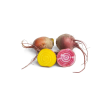  Colored beet
