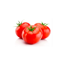  Greenhouse tomato