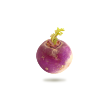  Turnip #1 in bag