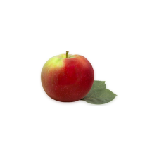  Mcintosh apple