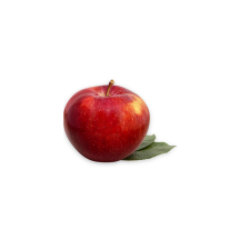  Spartan apple