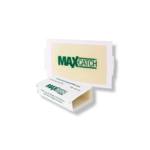 Tomcat Glue board for mouse box