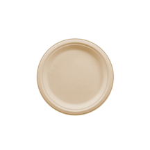 Table Accents Compostable bagasse plate 10in