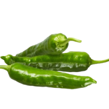  Piment fort shishito [env. 1kg]