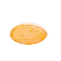 Chapman's Orange sorbet