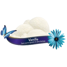 Chapman's Lactose-free vanilla ice cream