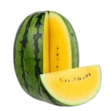  Yellow watermelon