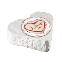 Attrappe coeur Fromage à croûte fleury