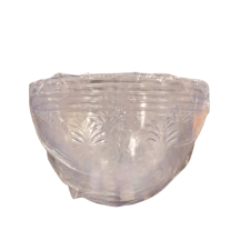 Rapido Presto Bol rond 9.5po transparent