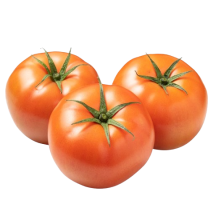  Tomate des champs