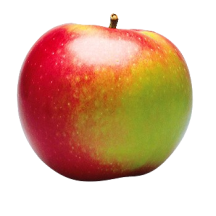  Mcintosh apple