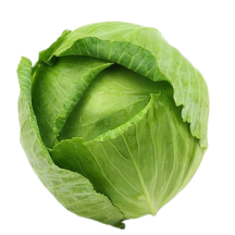 Québec CHOU VERT [22.67kg][$/kg]