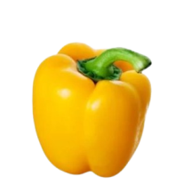  Poivron jaune #2