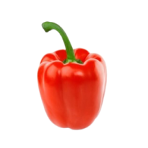  Red pepper #2 [approx. 1.2kg]
