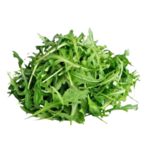  Persil Italien [plat]