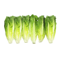  [k] Coeur de romaine