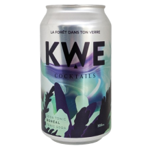 Red Bull Winter Boisson énergisante baies vanille [can+dep]