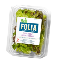 Folia Bouquet croquant