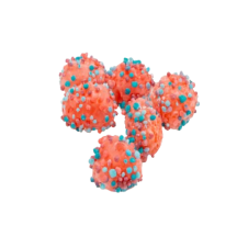 La petite touche Nuage de Nerdz [Lyophilisés]