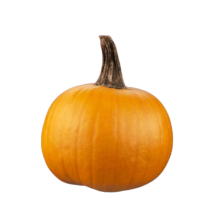  Citrouille bol à soupe