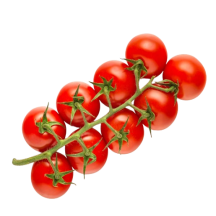  Tomate cerise vigne rouge