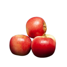  Mcintosh apple