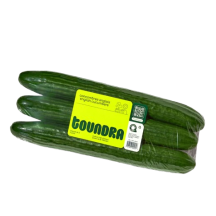  Concombre anglais