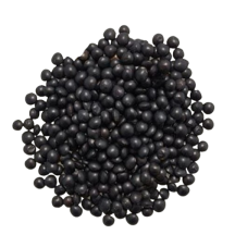 Clic/Agrofusion Lentilles beluga