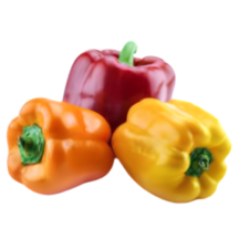  3 color pepper