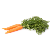 Carottes