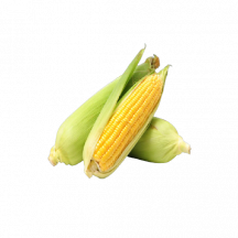  Corn