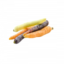  Carotte nantaise de couleur