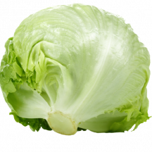  Iceberg lettuce gr24-30